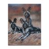 Bethold-Moyo-005 Wild dog Family