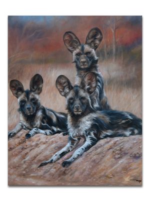 Wild dog Family