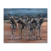 Wild Dog Group