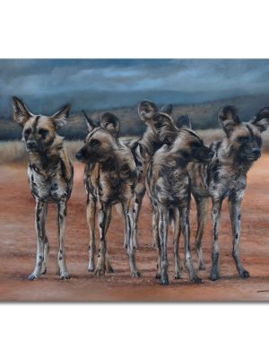 Wild Dog Group