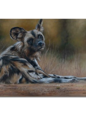 Wild Dog Solitary