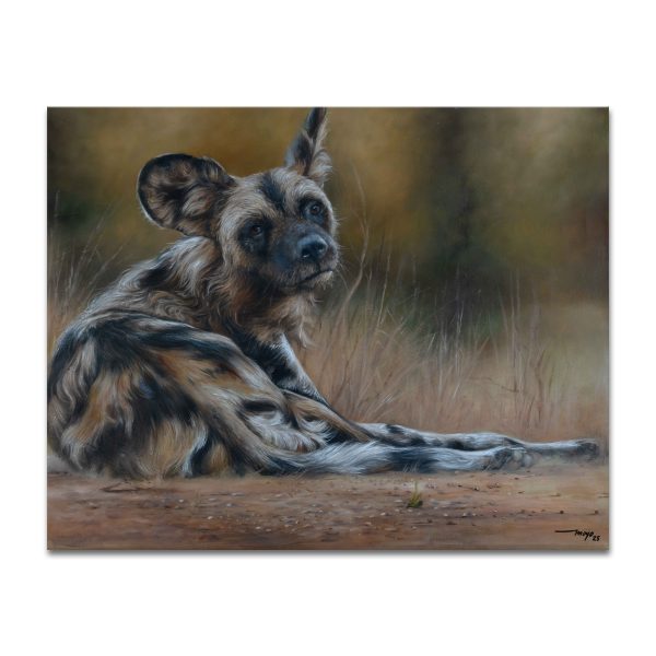 Bethold-Moyo-007 Wild Dog Solitary
