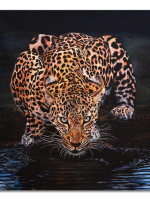 Leopard drinking water